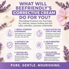 image:imageBeeFriendly Organic Corrective Cream Face Moisturizer 2 oz  USDA Certified Revitalizing Facial Night Cream For Sensitive Skin Aids Fine Lines amp Wrinkles For Eyes Face Neck2 Ounce Pack of 3