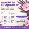 image:imageBeeFriendly Organic Night Cream USDA Certified 2 oz  Deep Hydrating amp Moisturizing For Eye Face Neck amp Decollete Revitalizing amp LineSmoothing4 Ounce Pack of 1
